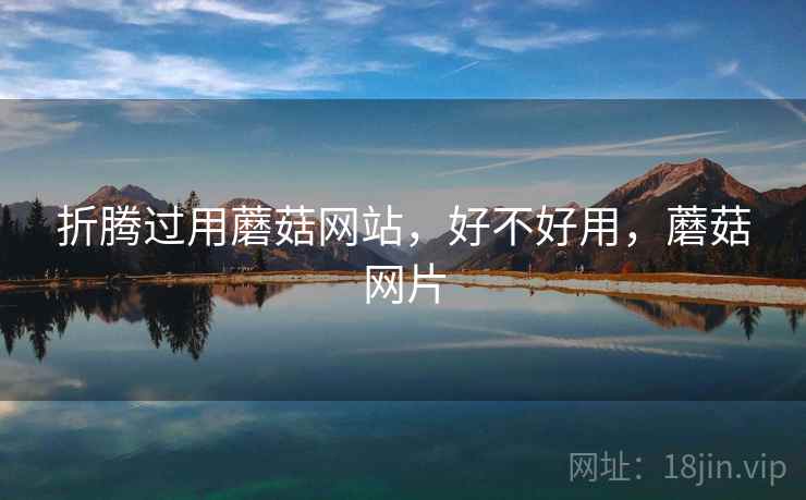 折腾过用蘑菇网站，好不好用，蘑菇网片  第2张