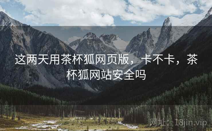 这两天用茶杯狐网页版,卡不卡,茶杯狐网站安全吗