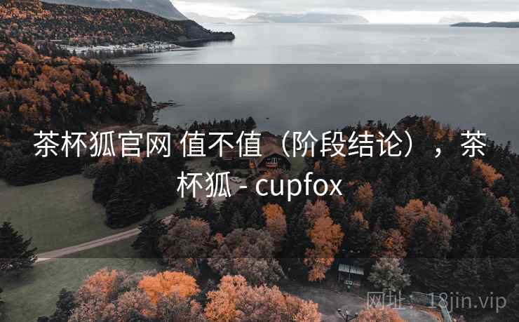 茶杯狐官网 值不值（阶段结论），茶杯狐 - cupfox  第2张