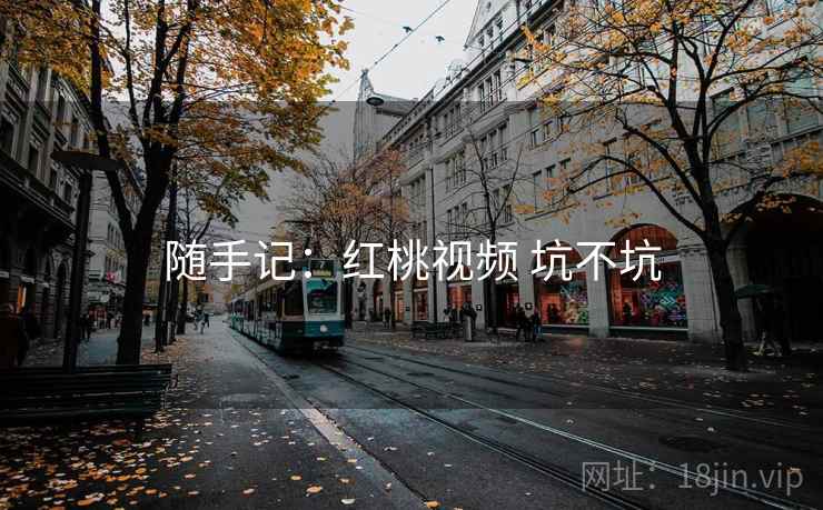 随手记：红桃视频 坑不坑